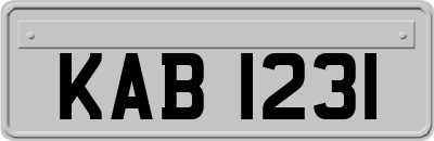 KAB1231