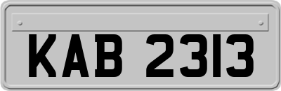 KAB2313