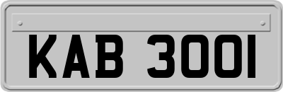 KAB3001