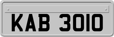 KAB3010