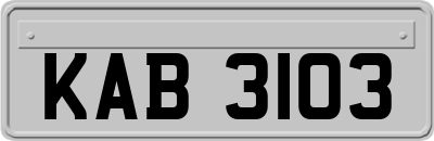 KAB3103