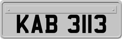 KAB3113