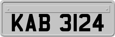 KAB3124