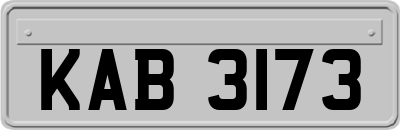 KAB3173