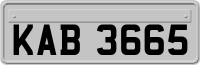 KAB3665