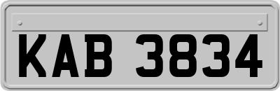 KAB3834