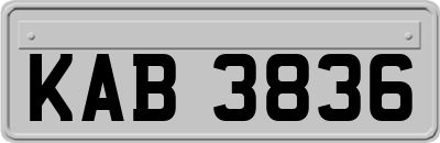 KAB3836
