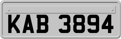 KAB3894