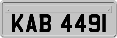 KAB4491