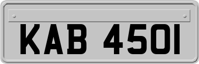 KAB4501