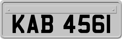 KAB4561