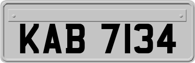 KAB7134