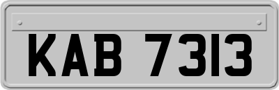 KAB7313