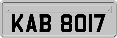 KAB8017