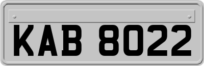 KAB8022