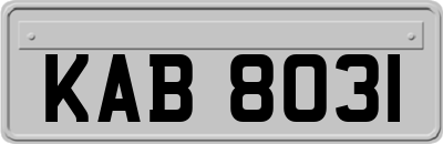 KAB8031