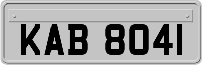 KAB8041