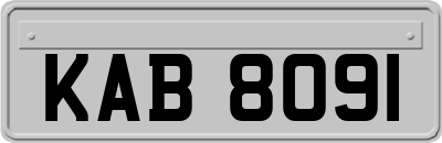 KAB8091