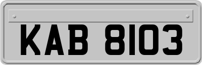KAB8103