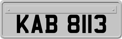 KAB8113