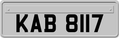 KAB8117