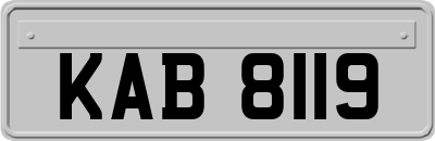 KAB8119
