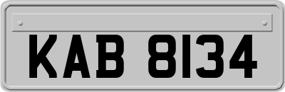KAB8134