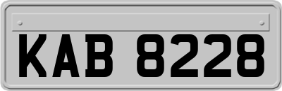 KAB8228