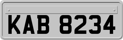 KAB8234