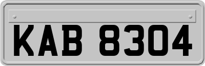 KAB8304