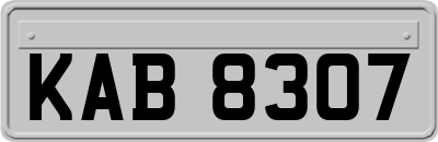 KAB8307