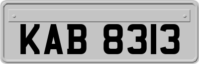 KAB8313