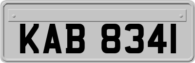 KAB8341
