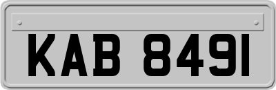 KAB8491