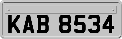 KAB8534