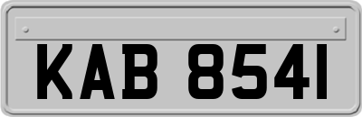 KAB8541
