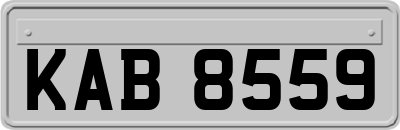 KAB8559