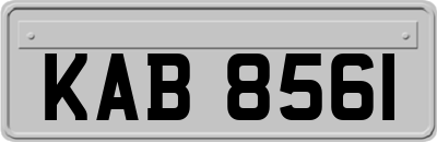 KAB8561