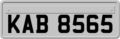 KAB8565