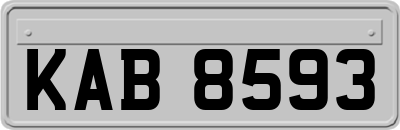 KAB8593