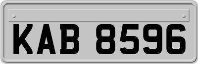 KAB8596