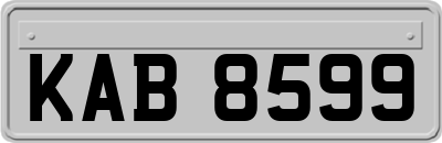 KAB8599