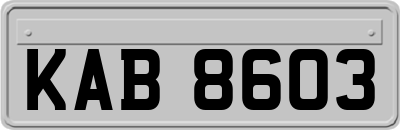 KAB8603