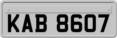 KAB8607