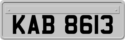 KAB8613