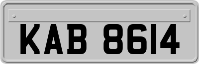 KAB8614