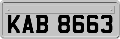 KAB8663