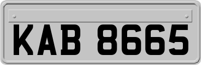 KAB8665