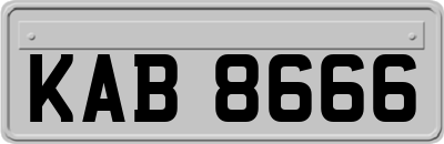 KAB8666