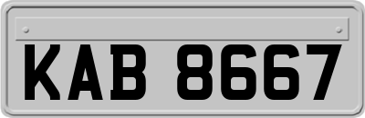 KAB8667